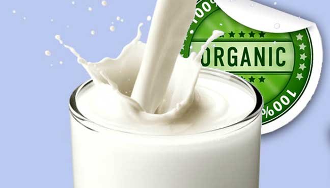 A glass of pure organic milk