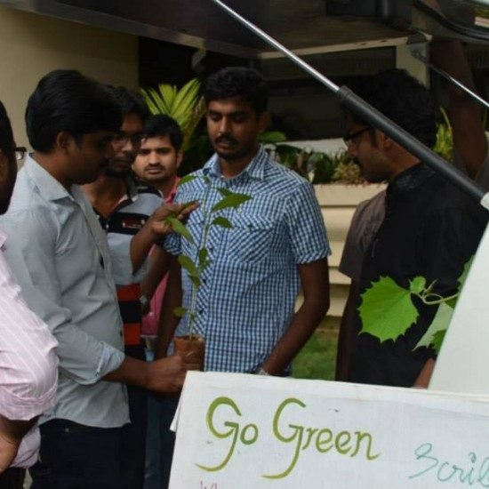 GGSE sapling distribution desk